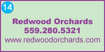 Click to view website