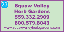 Click to view website