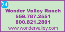 Click to view website
