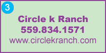 Click to view website
